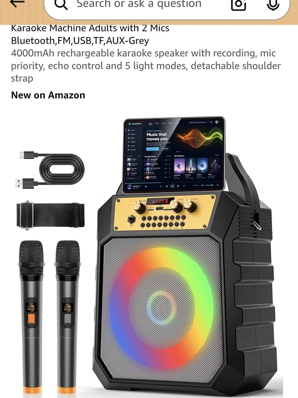 Portable Bluetooth Karaoke Speaker with Dual Mics - Black/Gold
